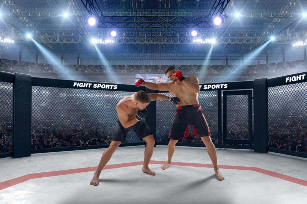 Vòng đấu MMA